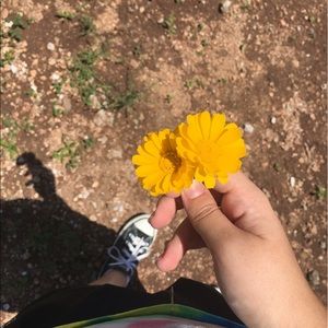 Meet your Posher, Kenya