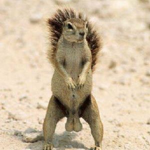 Meet your Posher, Ron