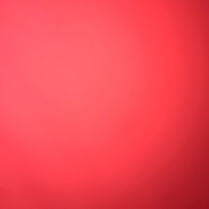 Meet your Posher, Birtha