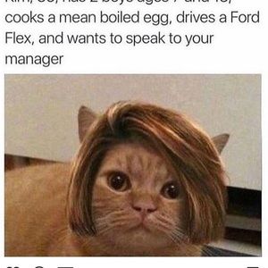 Meet your Posher, Bradley