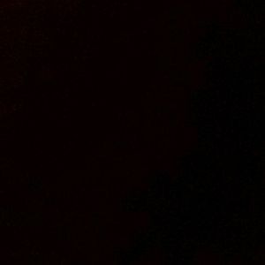 Meet your Posher, Rex