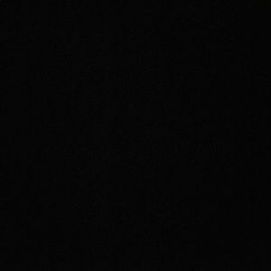 Meet your Posher, Bailey