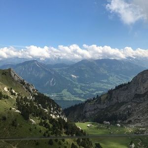 Meet your Posher, Cheyenne