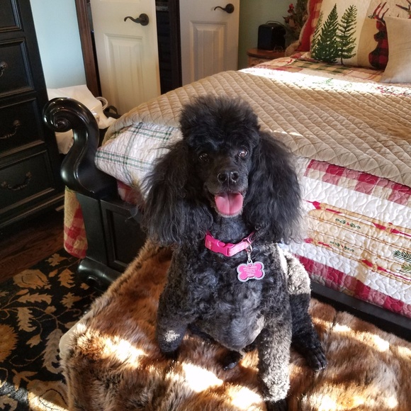 Meet your Posher, Kelly - Picture 8 of 8