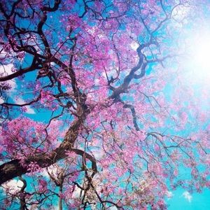 Meet your Posher, Daisy