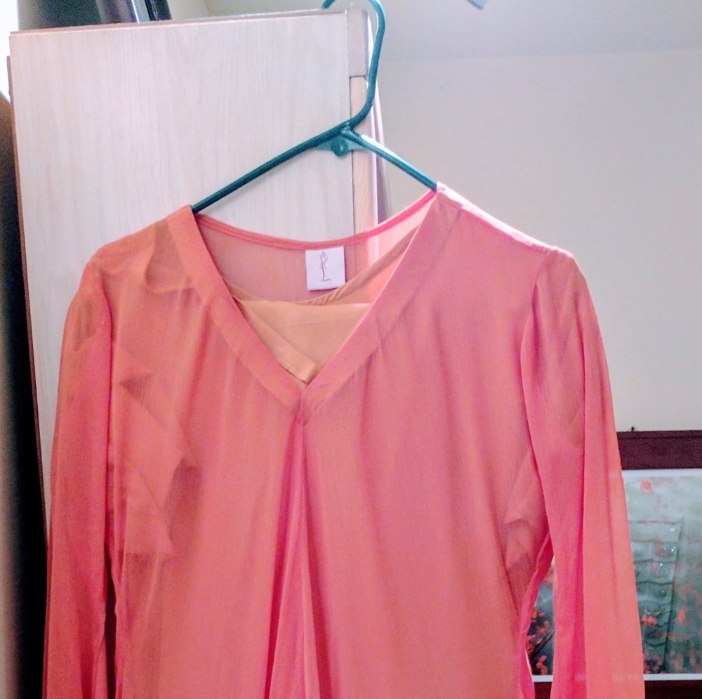 Pakistani/Indian Long Gown, Kameez, Tunic