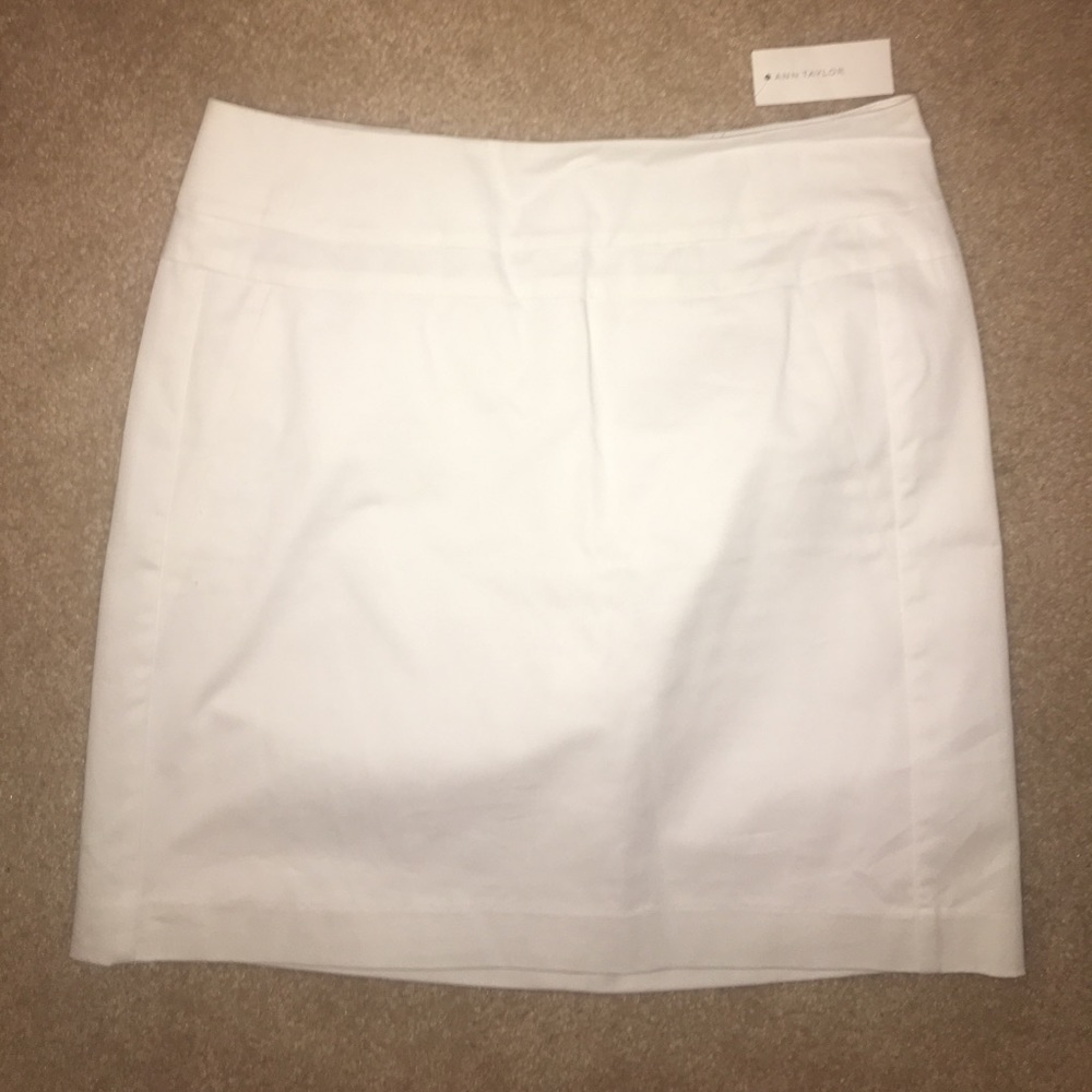 Ann Taylor Skirt NWT