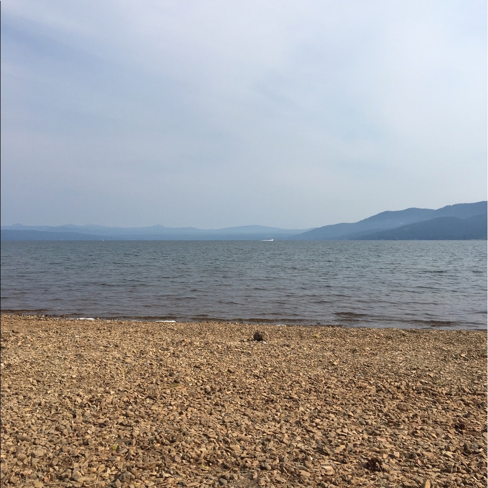 Meet your Posher, Chels