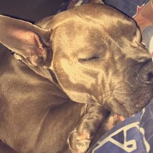 Meet your Posher, Andre