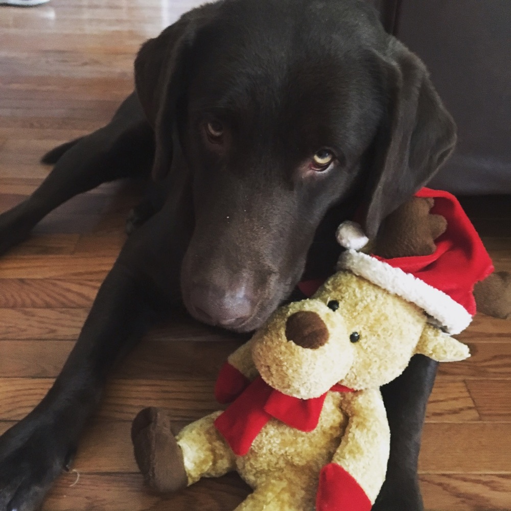 Meet your Posher, Karlea