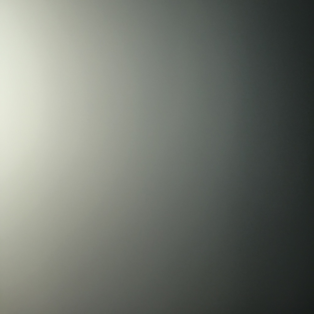 Meet your Posher, Aleisha