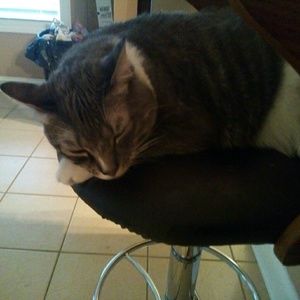 Meet your Posher, Brianna