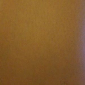 Meet your Posher, Carol