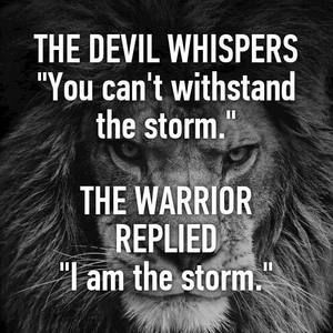 Meet your Posher, Gyorgyi