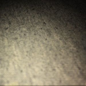 Meet your Posher, Devin