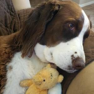 Meet your Posher, Rosemary