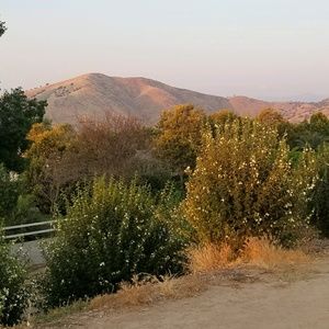 Meet your Posher, Rocio