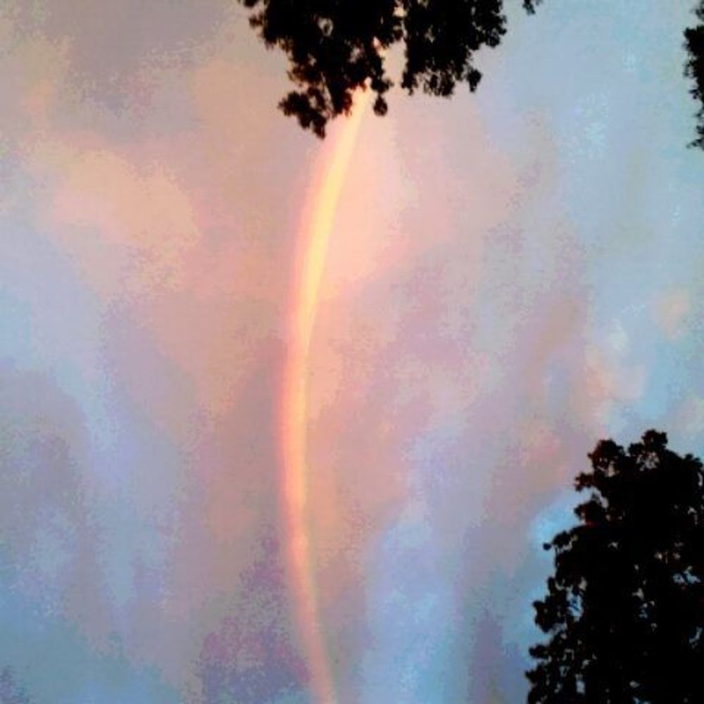 Meet your Posher, Shelley