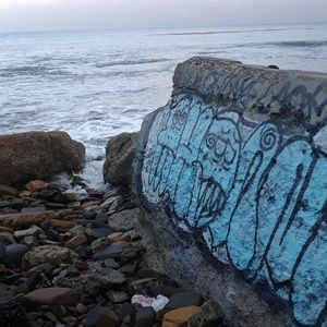 Meet your Posher, VivianBlues