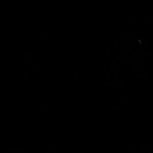 Meet your Posher, Shaquan