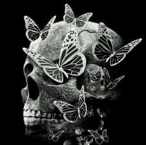 Meet your Posher, Lacey