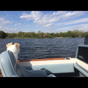 Meet your Posher, Daniel