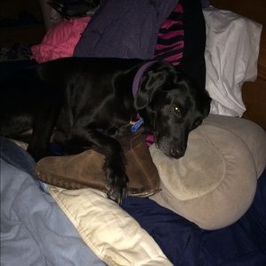 Meet your Posher, Megan