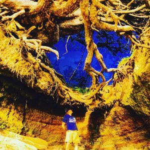 Meet your Posher, Dylan