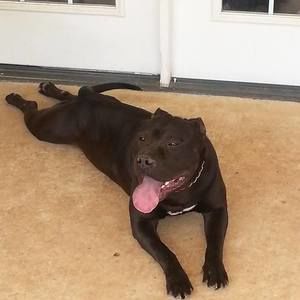 Meet your Posher, Derrick