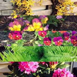 Meet your Posher, Mindy