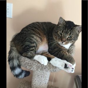 Meet your Posher, Frances