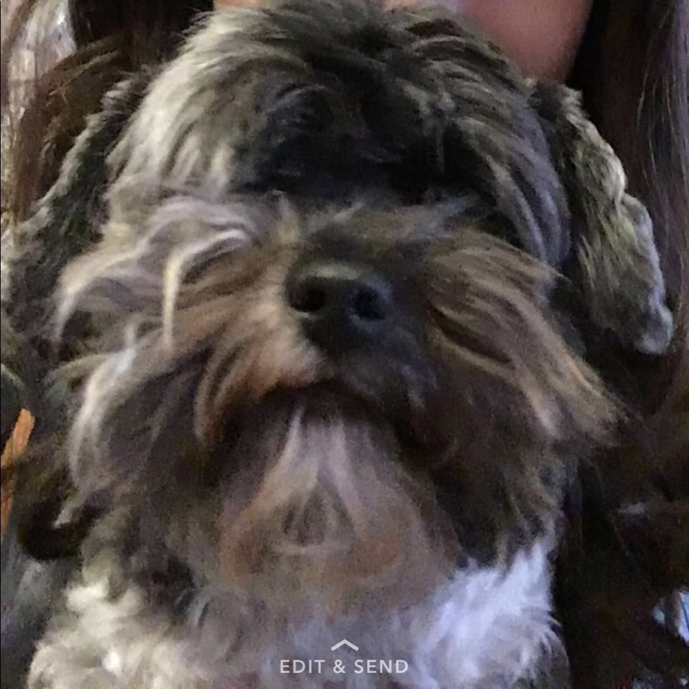 Meet your Posher, Rylie