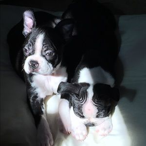 Meet your Posher, Kim