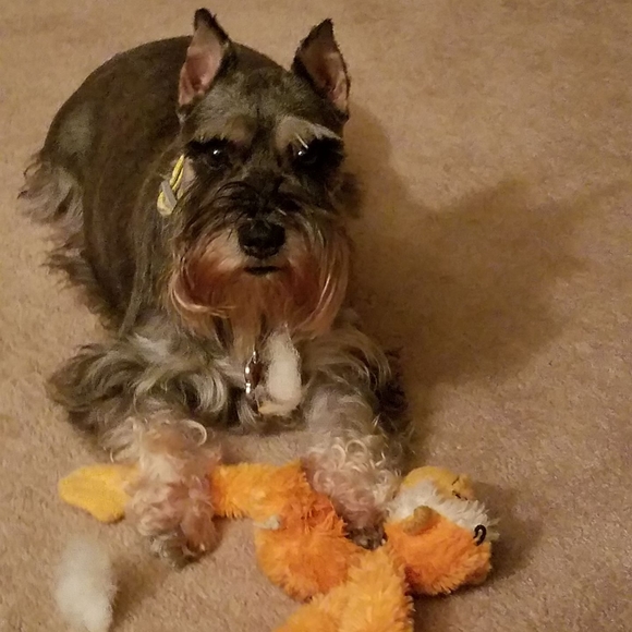 Meet your Posher, Pamela - Picture 1 of 1