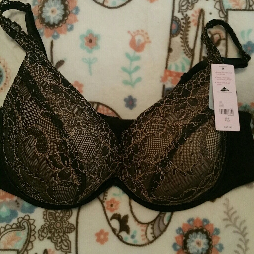 Lane Bryant/Cacique air push up bra