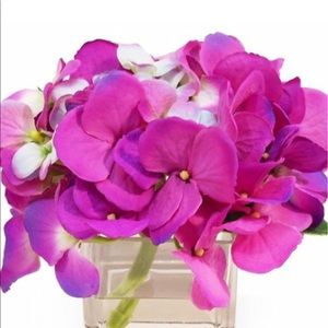 Meet your Posher, Charlotte