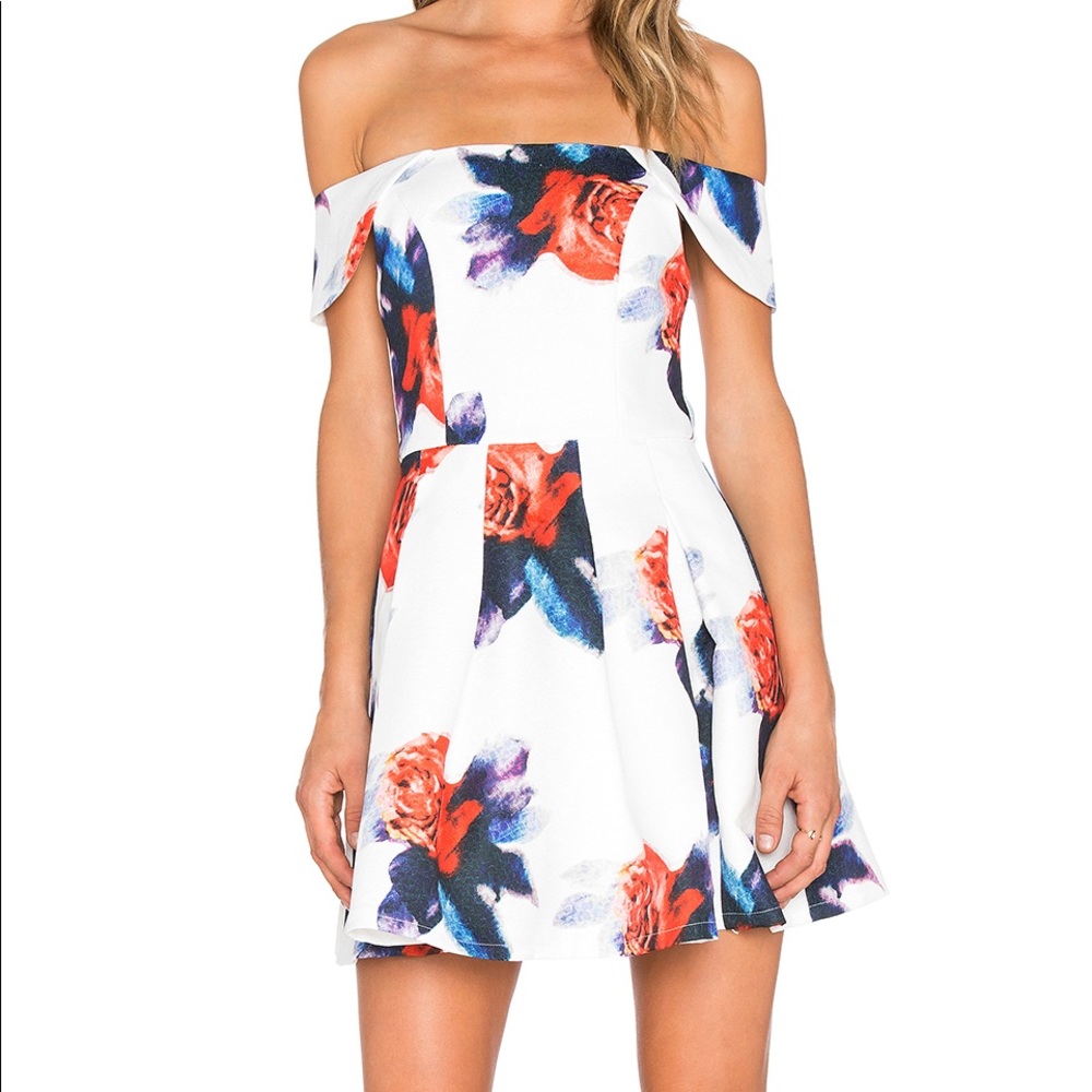 Revolve Chelsea garden dress
