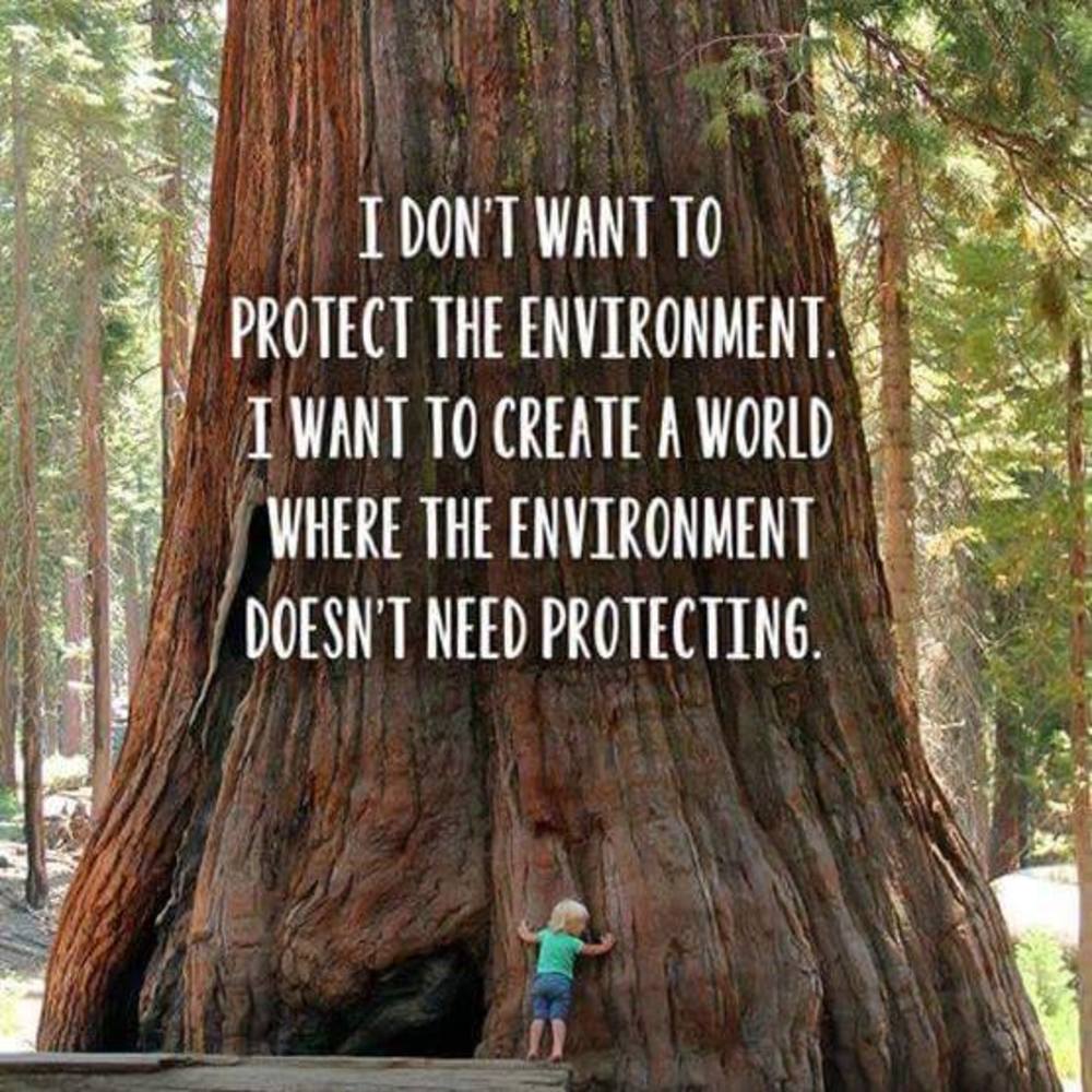 Meet your Posher, Sheila