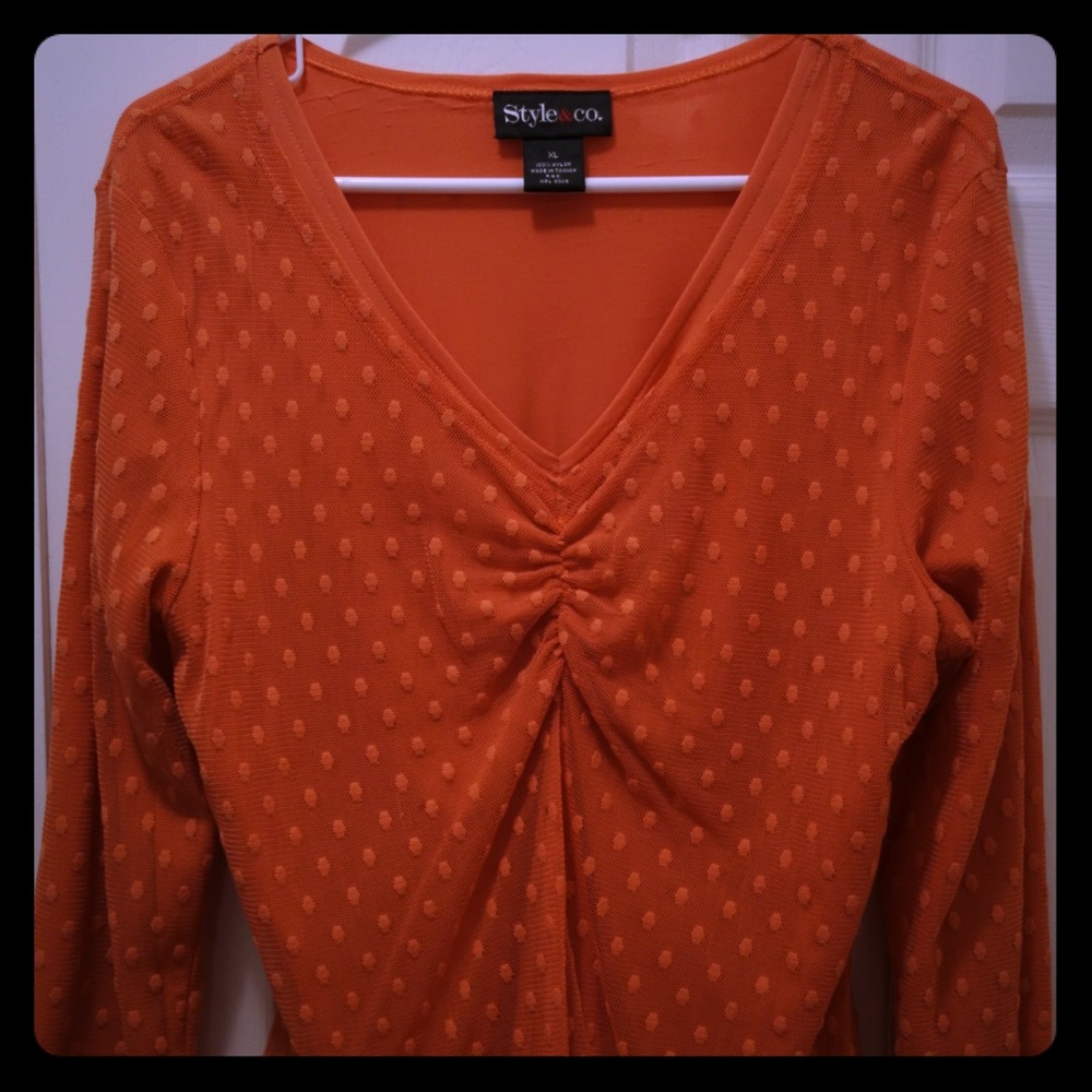 Style and Co. autumn top.