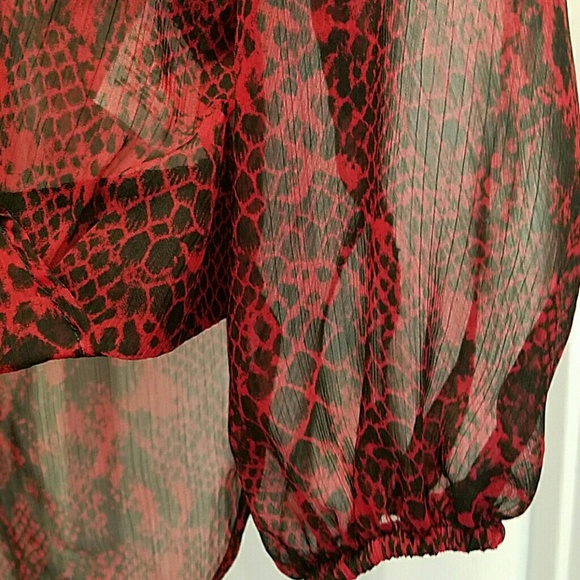 SHEER BLOUSE - Picture 4 of 6