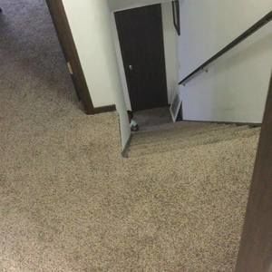 Meet your Posher, Nana