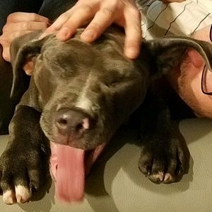 Meet your Posher, Cheryl