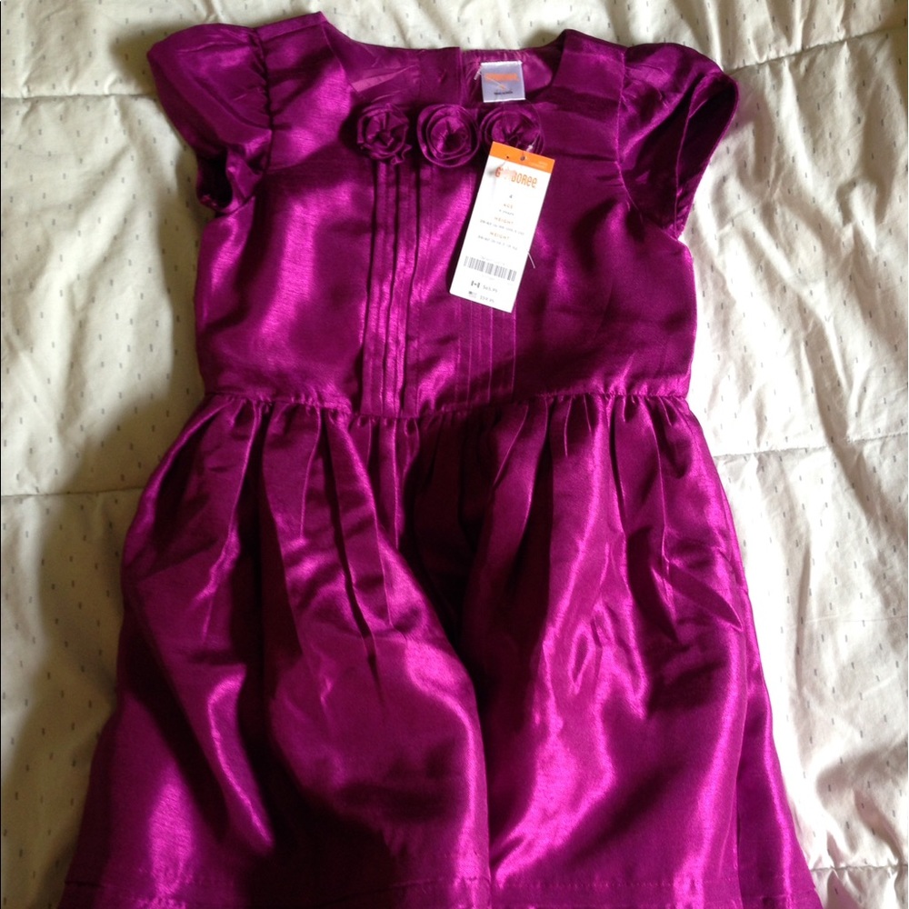 Gorgeous magenta Gymboree dress NWT sz 4