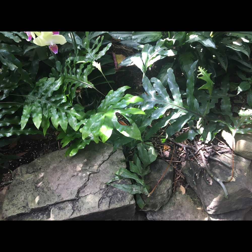 Meet your Posher, Rebecca