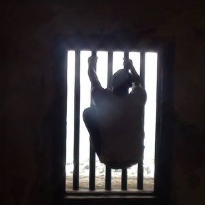 Meet your Posher, Saleem