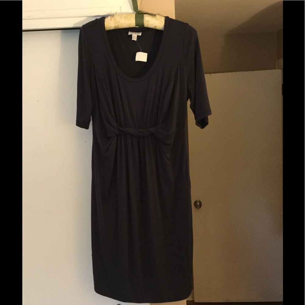Pea in the pod navy maternity dress.