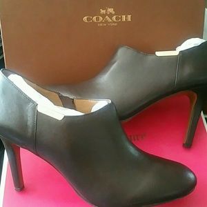 Meet your Posher, Anne