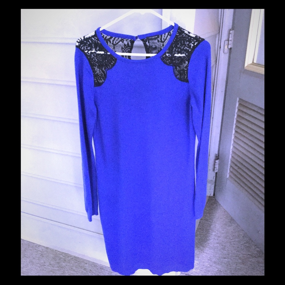Ann Taylor royal blue/black lace sweater dress
