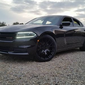 Meet your Posher, Cody