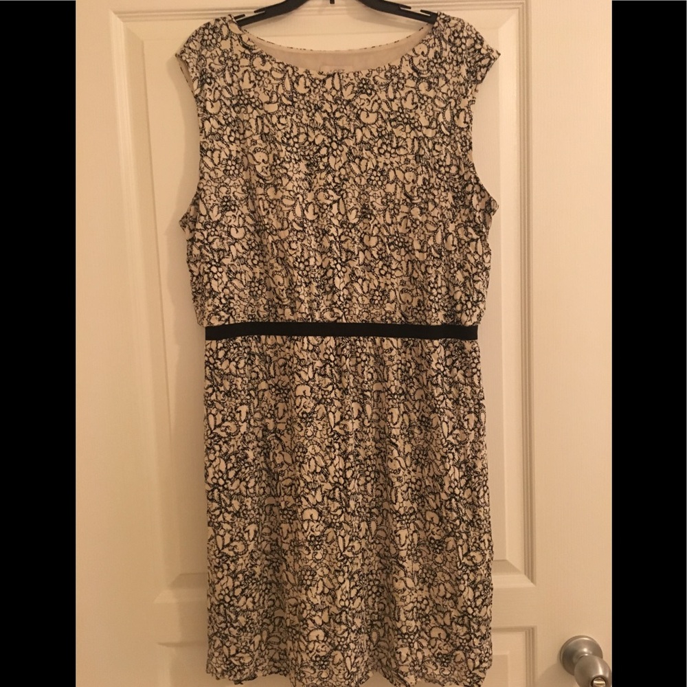 LOFT Dress. Perfect for work!
